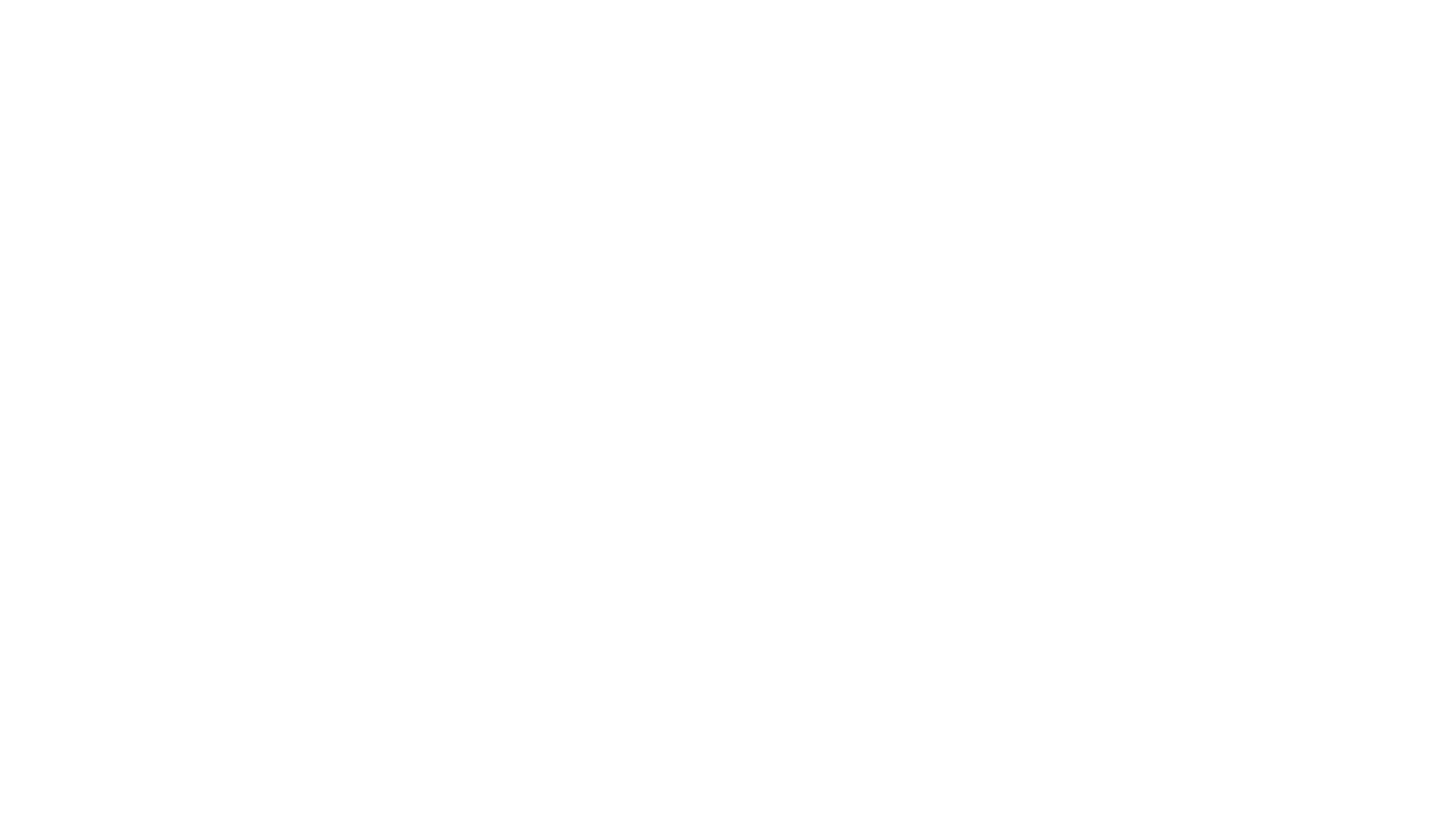 CNE White Logo White Letters