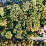 Rooted in Nature, Centered in the City — From above, you can see the home nestled into the wooded edge of Lewis Park, shielded by trees yet set on a quiet, walkable block. A true in-city retreat, with access to trails, transit, and everything Seattle has to offer.