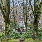 2-web-or-mls-IMG_9657