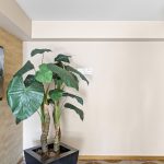 11-web-or-mls-IMG_8206