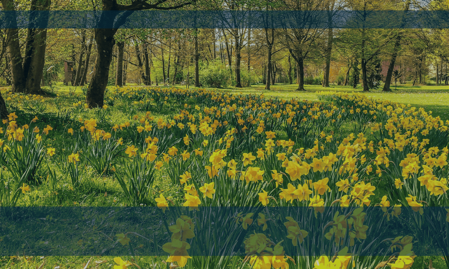 Kdq_dR92dbG5nzykUL933A