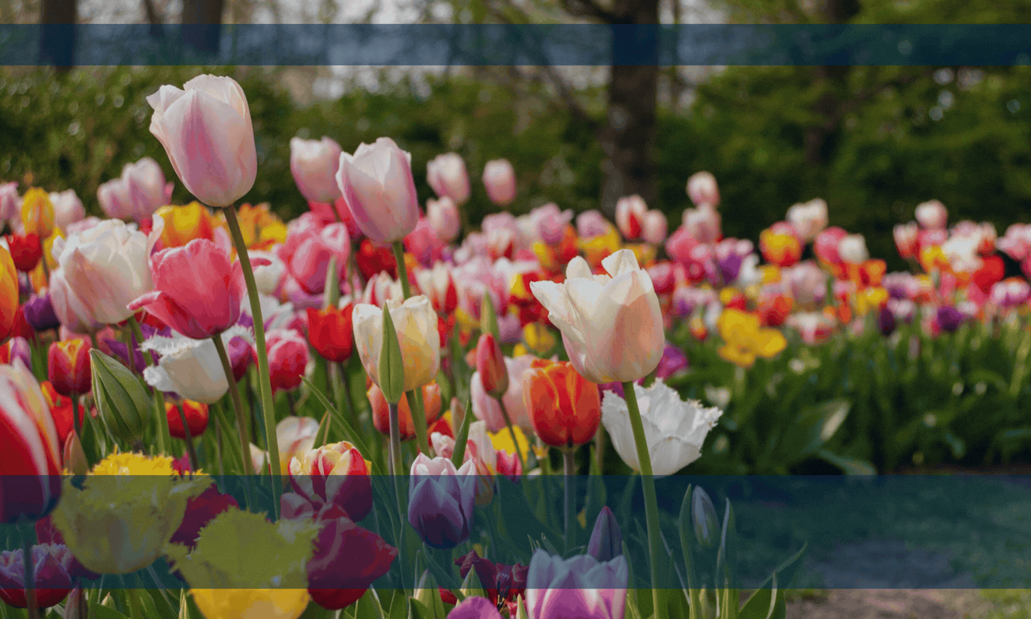 D8MDEhpyPvzBgC46W92GEw