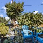 7-web-or-mls-IMG_0240